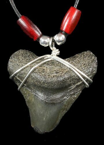 Fossil Megalodon Tooth Necklace #47533